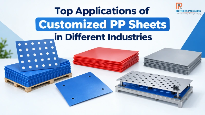 Top Applications of Customized PP Sheets in Different Industries